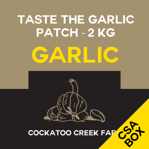 Garlic - Taste the garlic patch