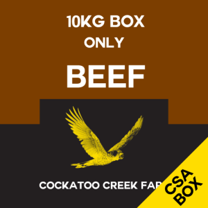 10kg Beef Only Box thumbnail