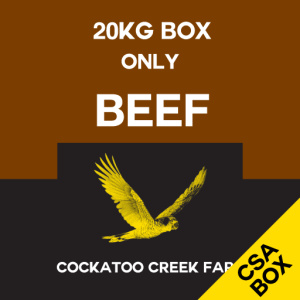 20kg Beef Only Box thumbnail